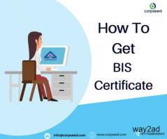 BIS Registration Consultant