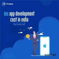Affordable iOS App Development Cost India - iTrobes 