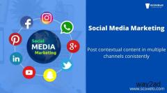 Social Media Management Agency - ScoVelo Consulting