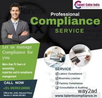 Payroll and Compliance Services I Talent Cabin India