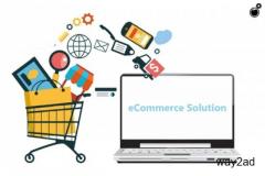 Get E Commerce Solution Service at affordable