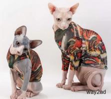 sphynx cat clothes
