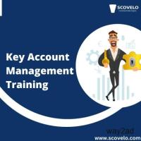 Top Key Account Consultant - ScoVelo Consulting