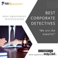 Post Employment Investigation-Spy Detective Agency