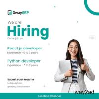Hiring Software Developer and React Js Developer
