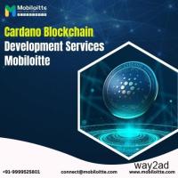 Cardano blockchain development services