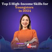 Top 5 High-Income Skills for Young Professionals in 2024