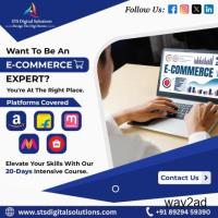 Best E-Commerce Marketing Course In Faridabad 