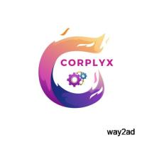 Corplyx Technologies | Best Digital Marketing Company