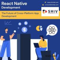 Build Next-Gen Apps with the Best React Native App Development Company