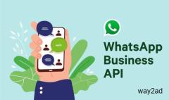 What Is What's App API Tool