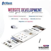 web design and development service