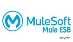 Mulesoft  Online Training in India, US, Canada, UK