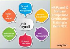 Best HR Payroll Course in Delhi,  SLA Classes, SAP HCM Certification 
