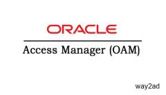 OAM (Oracle Access Manager)Online Training Classes In India