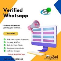 Verified Whatsapp for Marketing | Msgclub - WhatsApp business APi