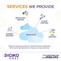 Digiko Host – Provide Best & Affordable Web Hosting Solution