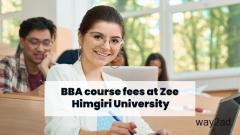 BBA Course Fees at Zee Himgiri University