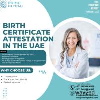 Importance of Certificate attestation services in the UAE