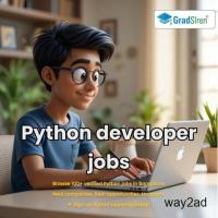 Python developer jobs