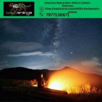 Experience Magical Starry Nights in Tadoba’s Wilderness Experience Magical Starry Nights in Tadoba’s Wilderness