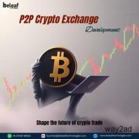 Fully Customizable P2P Exchange Development
