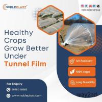 Healthy Crops Grow Better Under Tunnel Film