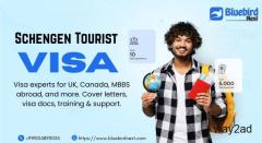 Trusted Study Abroad Consultants – Bluebird Next