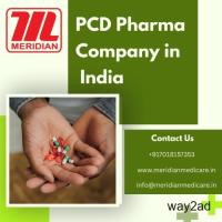 PCD Pharma Company in India