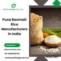 Pusa Basmati Rice Manufacturers in India