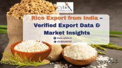 Rice Export from India – Verified Export Data