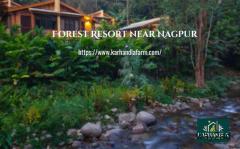 Experience Ultimate Comfort at Luxury Resorts Near Tadoba