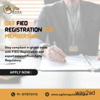 Hassle-Free FIEO Registration for Exporters