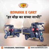 Are You Find Top 10 e rickshaw Dealers in chandigarh