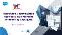 Salesforce Customization Services 